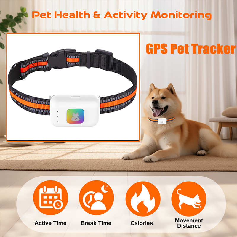 Pet Supplies Direct - Dispositif de suivi GPS AGPS pour