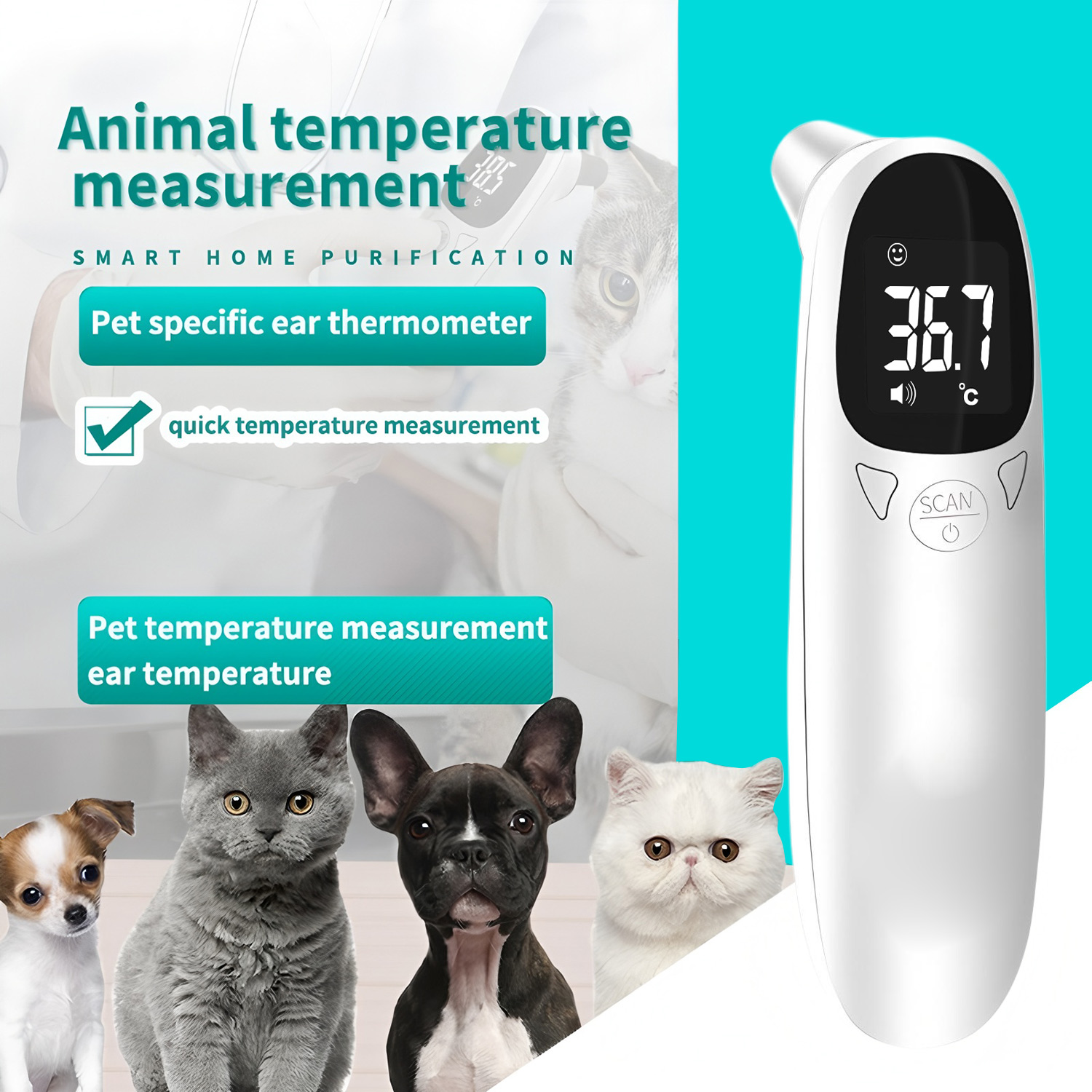Pet Supplies Direct - Thermomètre numérique pour animaux de compagnie,