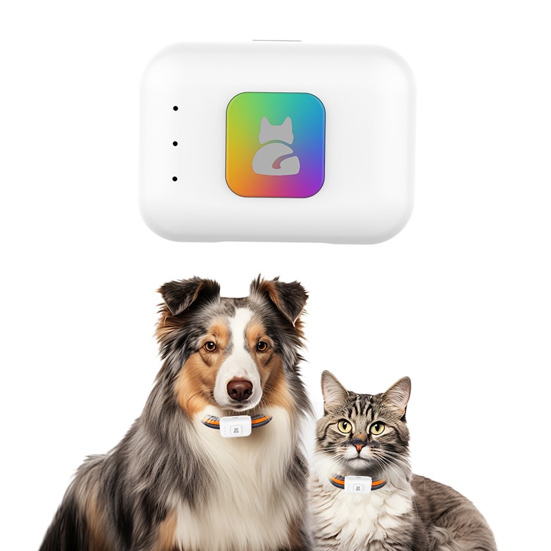 Dispositif de suivi GPS AGPS p - Pet Supplies Direct avis et prix