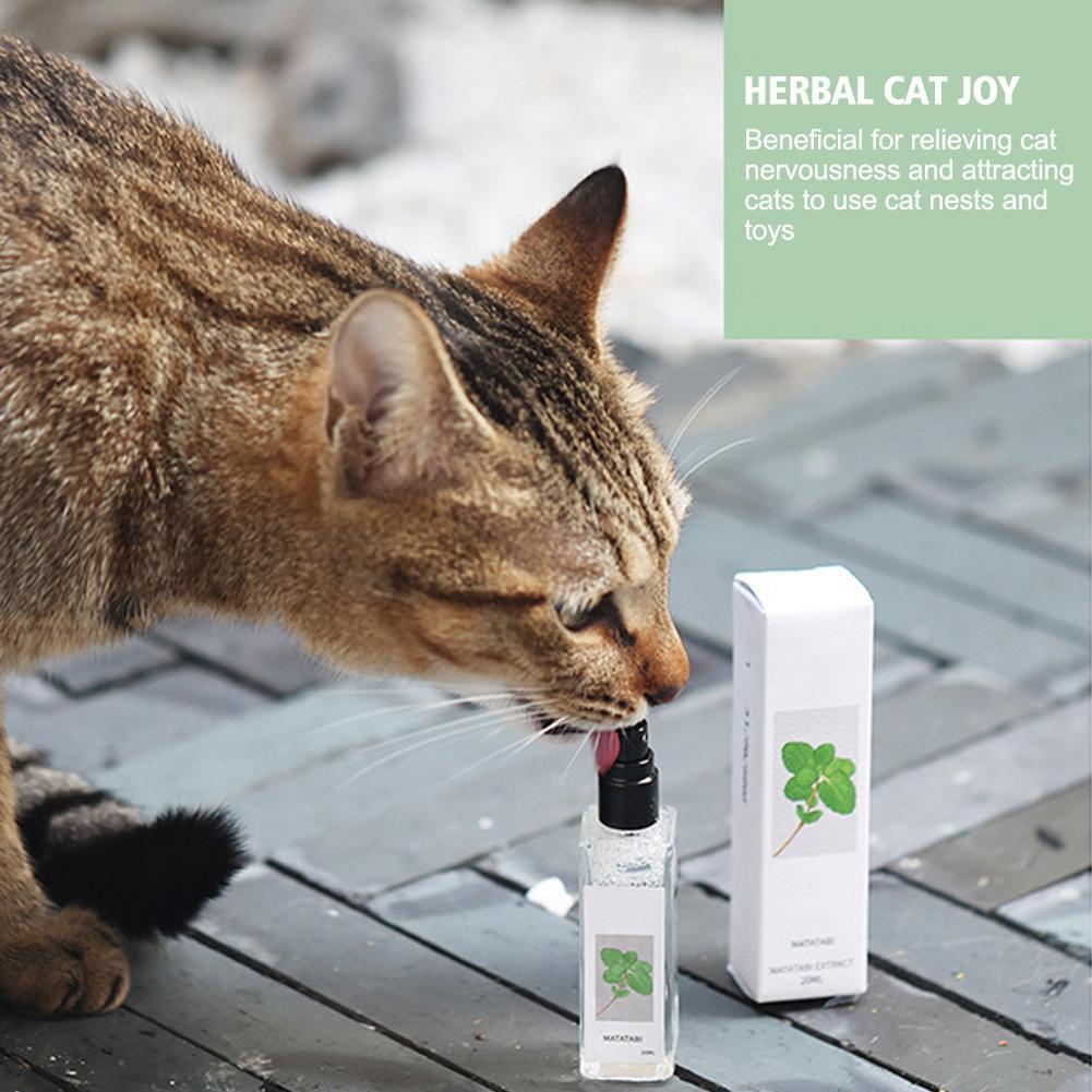 Vaporisateur de joie de chat à - Pet Supplies Online avis et prix