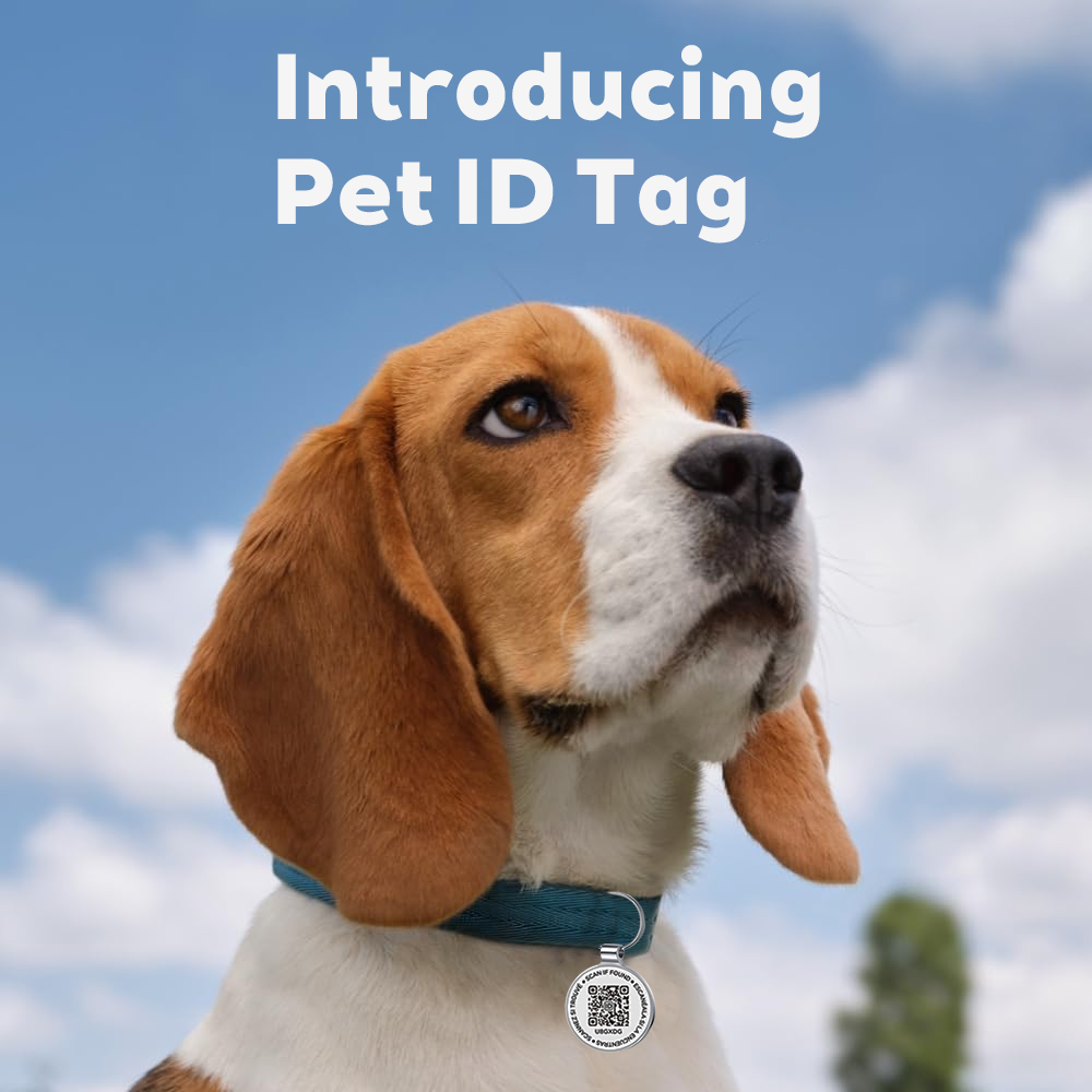 Étiquette d'identification pou - Pet Supplies Online avis et prix