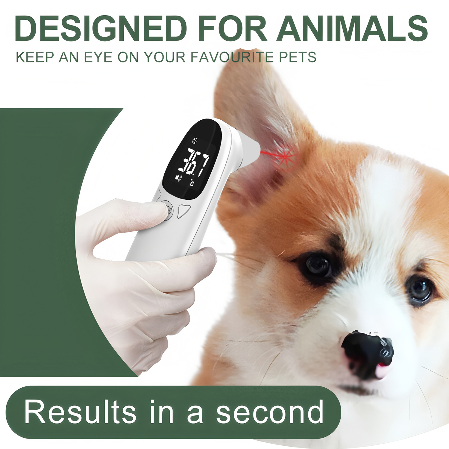 Thermomètre numérique pour ani - Pet Supplies Direct avis et prix