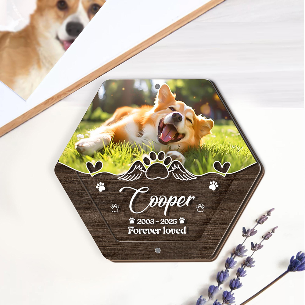 Boîte de rangement de cheveux  - Pet Supplies Direct avis et prix