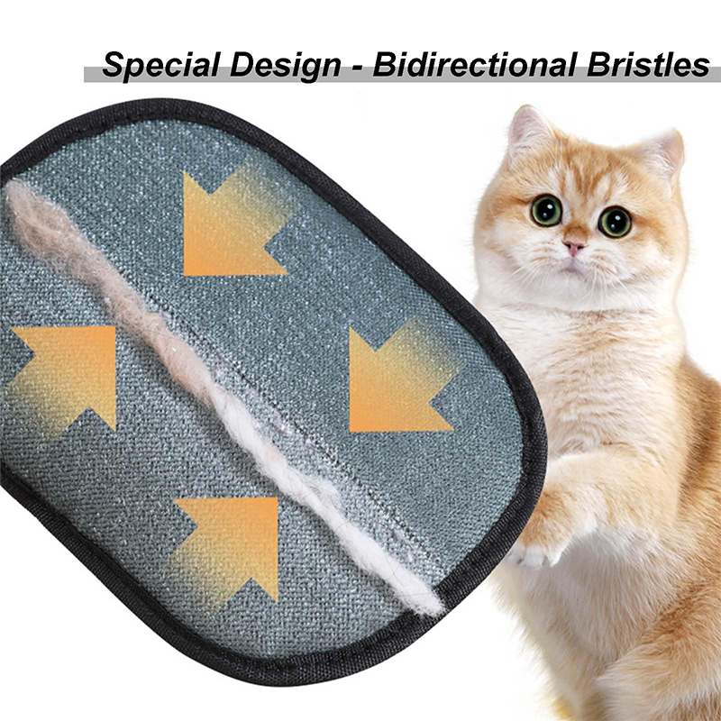 Nouveau Gant Électrostatique d - Pet Supplies Direct avis et prix