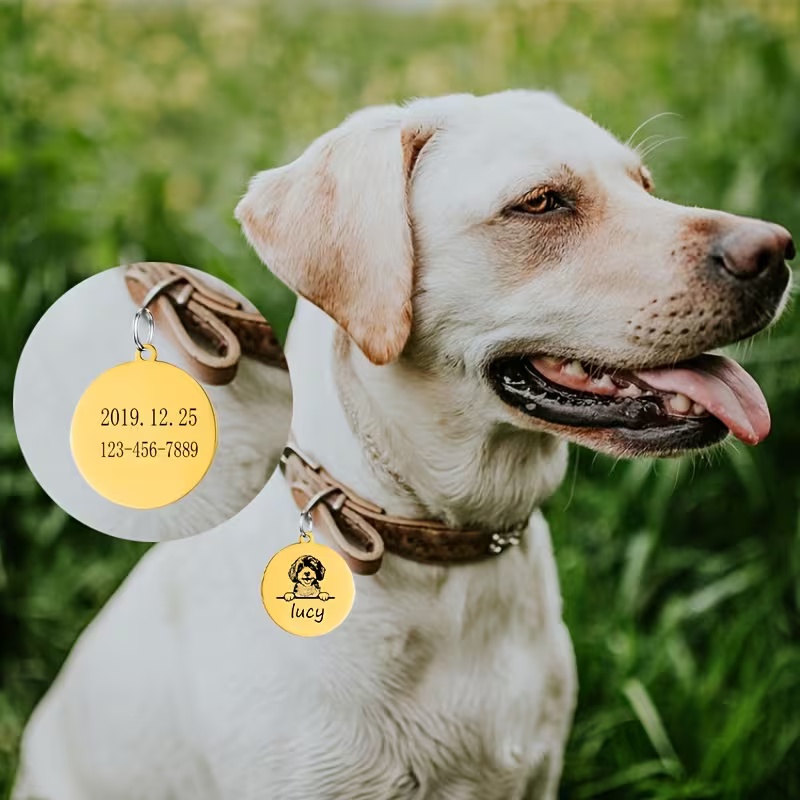 Colliers anti-perte personnali - Pet Supplies Direct avis et prix