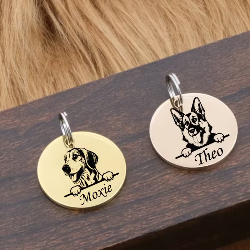 Colliers anti-perte personnali - Pet Supplies Direct avis et prix
